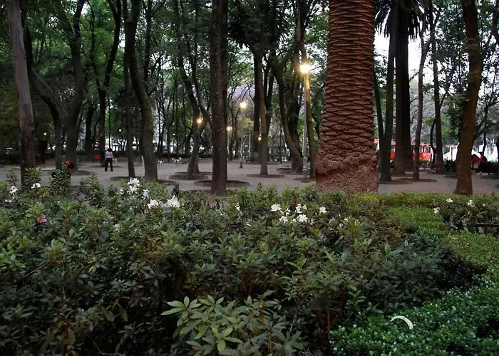 Apartamento Loft Cómodo Y Privado | Colonia Condesa!
